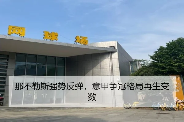 那不勒斯强势反弹，意甲争冠格局再生变数